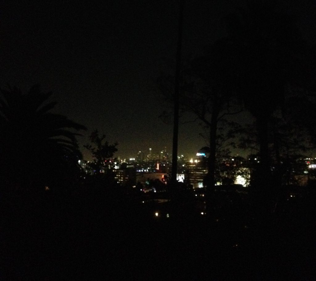 View from Hollywood Hills.