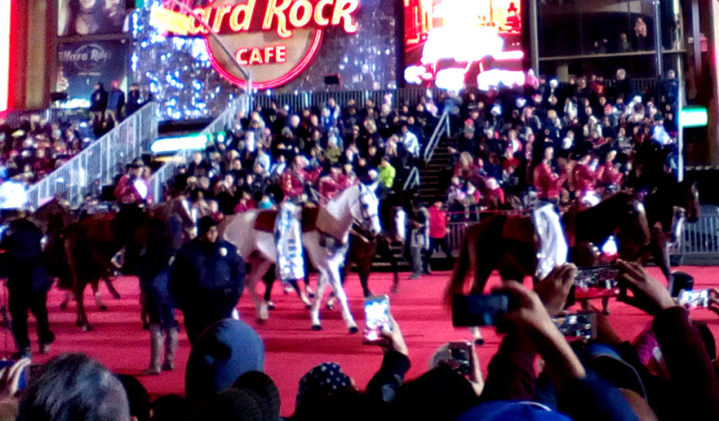 There were also horses participating in the parade.