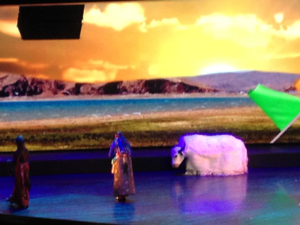 The cow is slowly making his way across the stage with a beautiful backdrop.