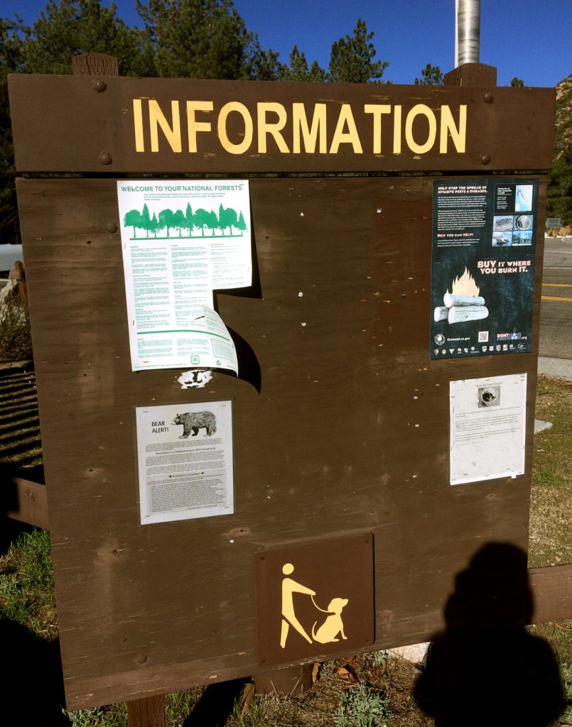 On the information board they warn you for bears.