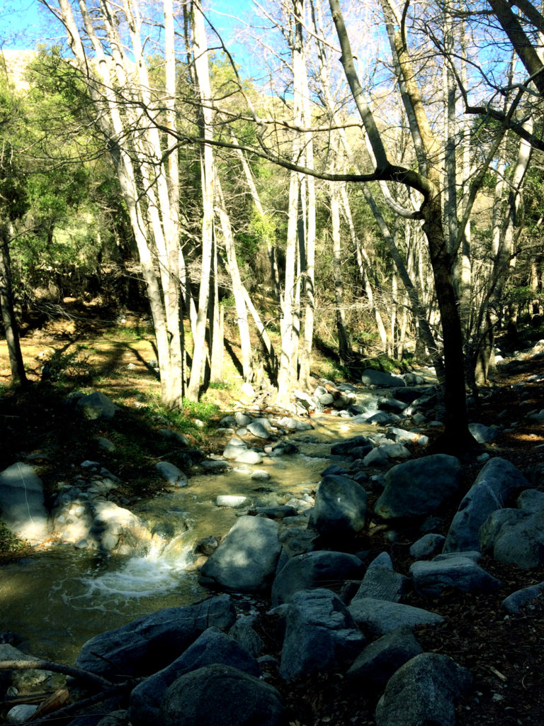 Thanks to the rain there as a lot of water in the stream.
