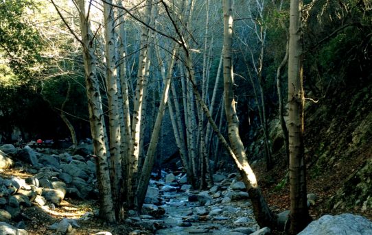 The stream coming downhill.