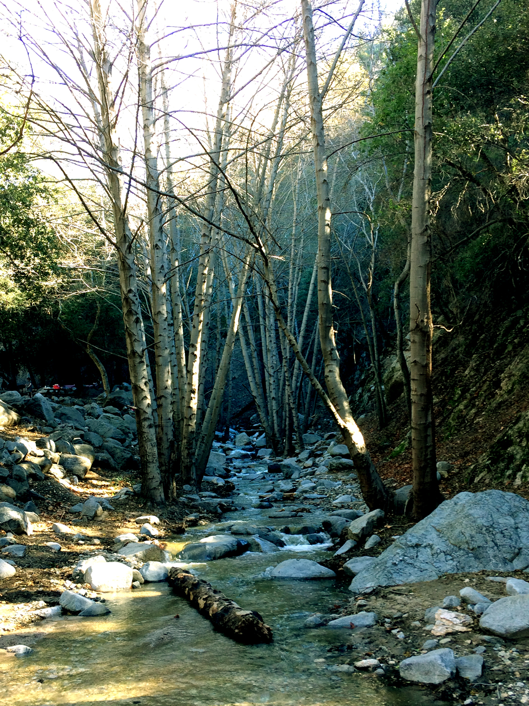 The stream coming downhill.