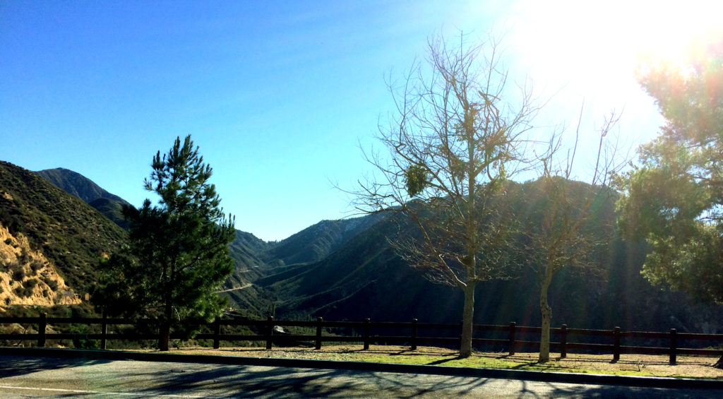 A beautiful, but windy, day.