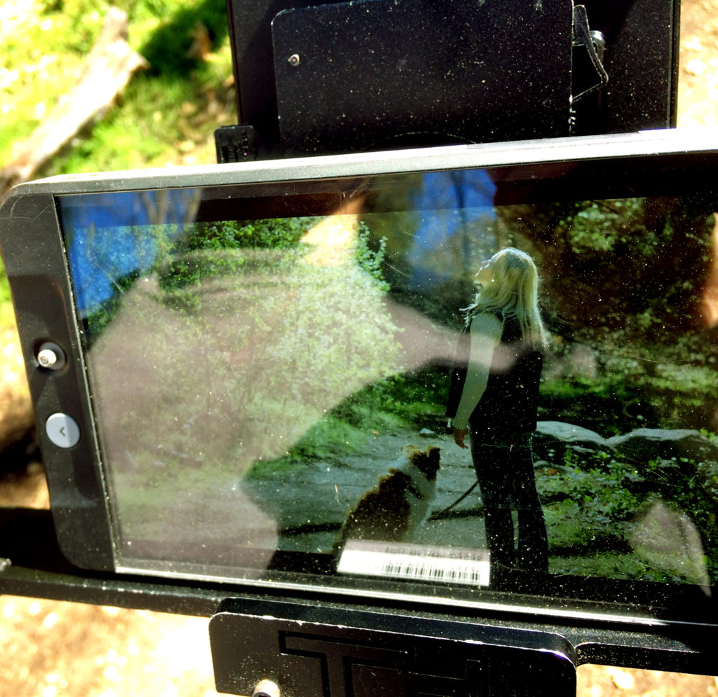 Enjoying the sun with Sam.