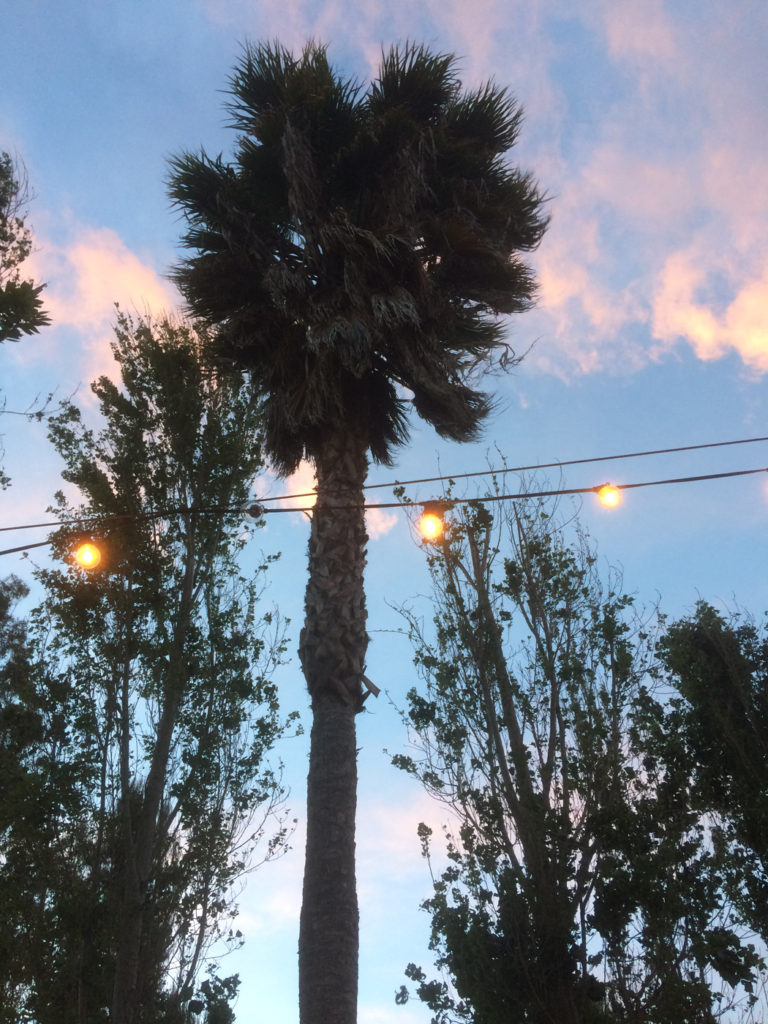 A beautiful evening.