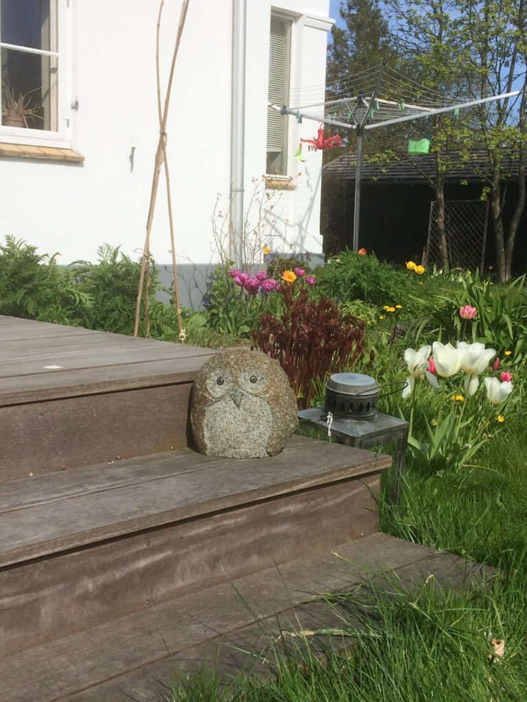 Cute owl and a summery garden that made me long for home.